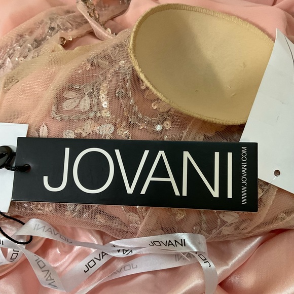 NEW JOVANI JVN60467 embellished V neckline A line chiffon maxi gown dress pink 0 - Picture 9 of 12